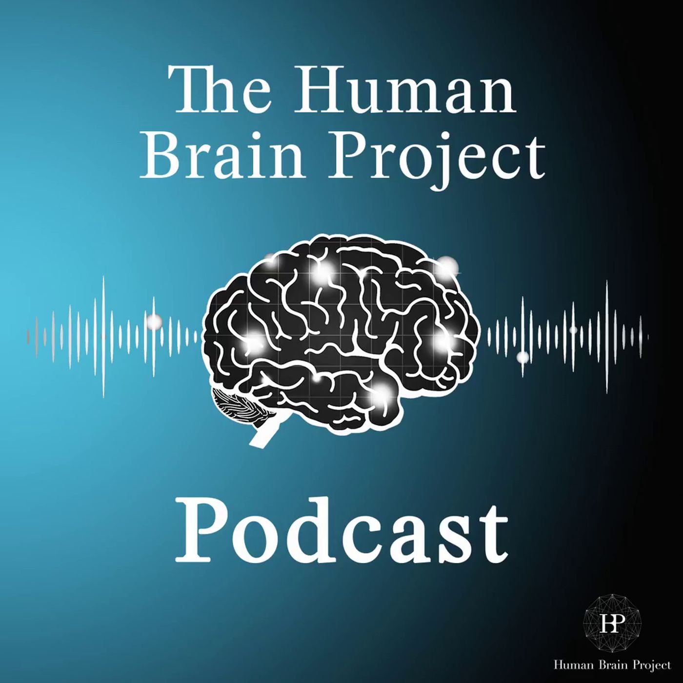 The Ethics of Brain Research: A Conversation with Arleen Salles