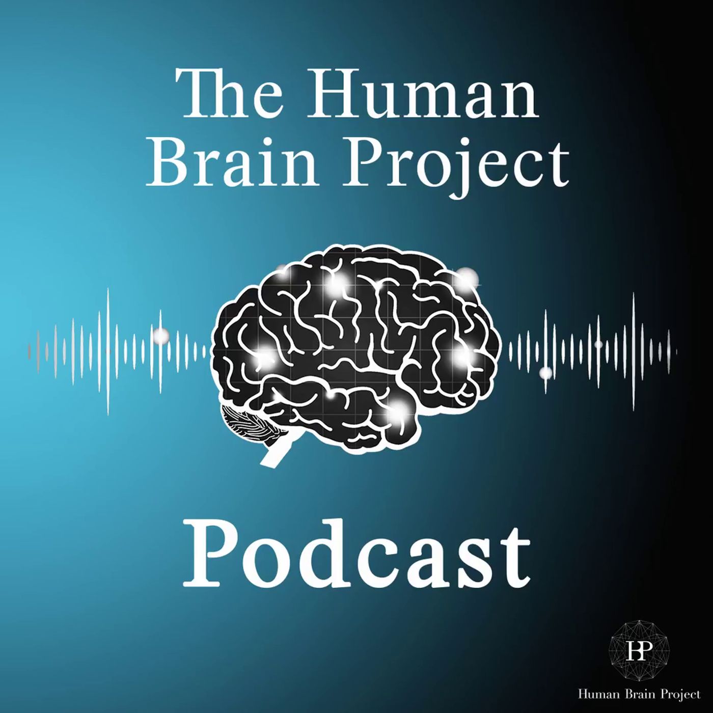 Behaviour and the Brain: A Conversation with Roshan Cools 
