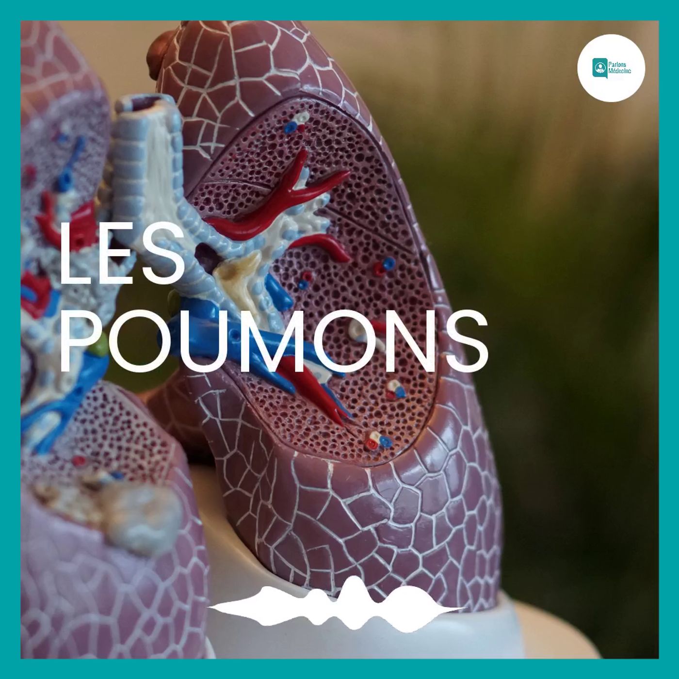 Parlons Médecine Le Podcast sur Apple Podcasts