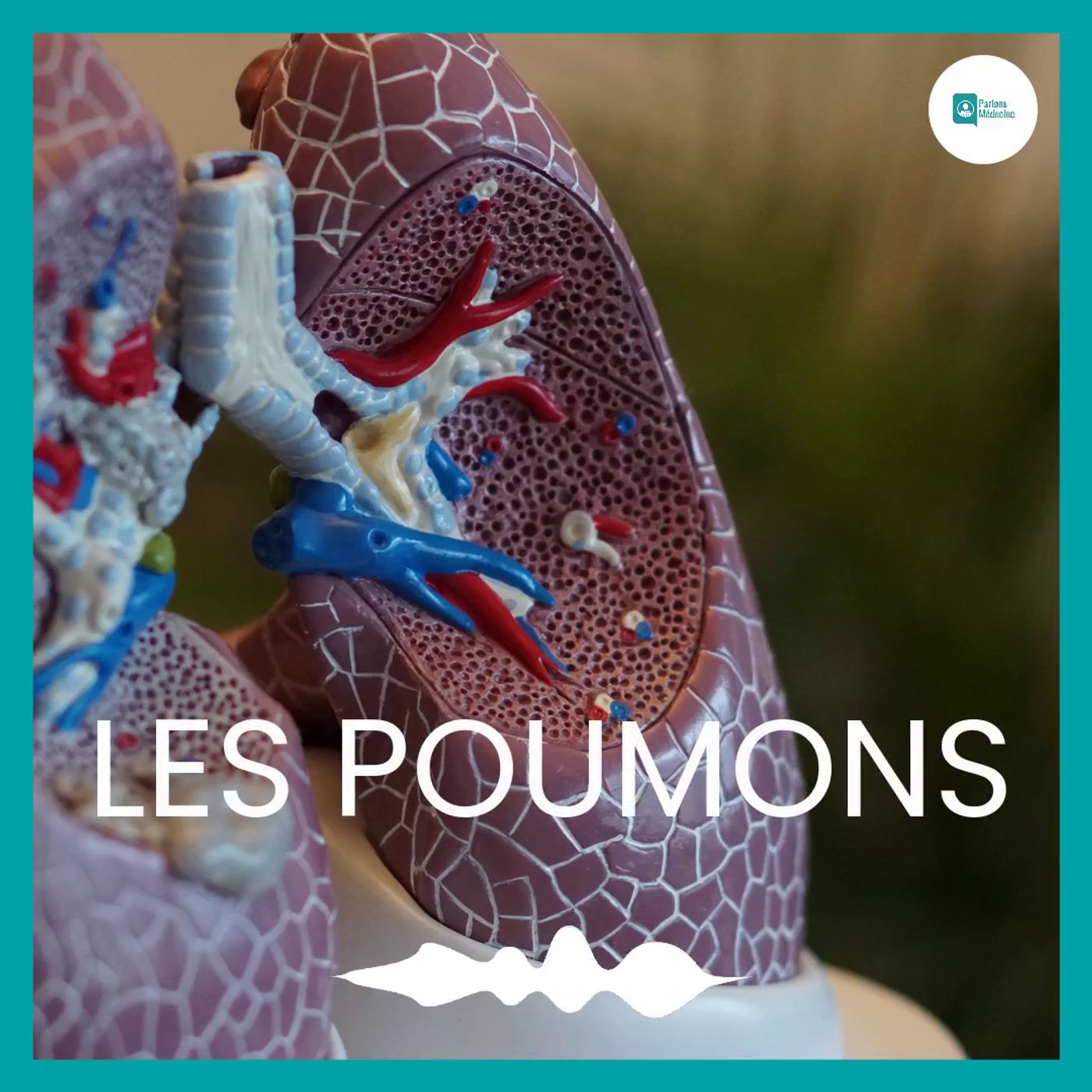 Parlons Médecine Le Podcast sur Apple Podcasts