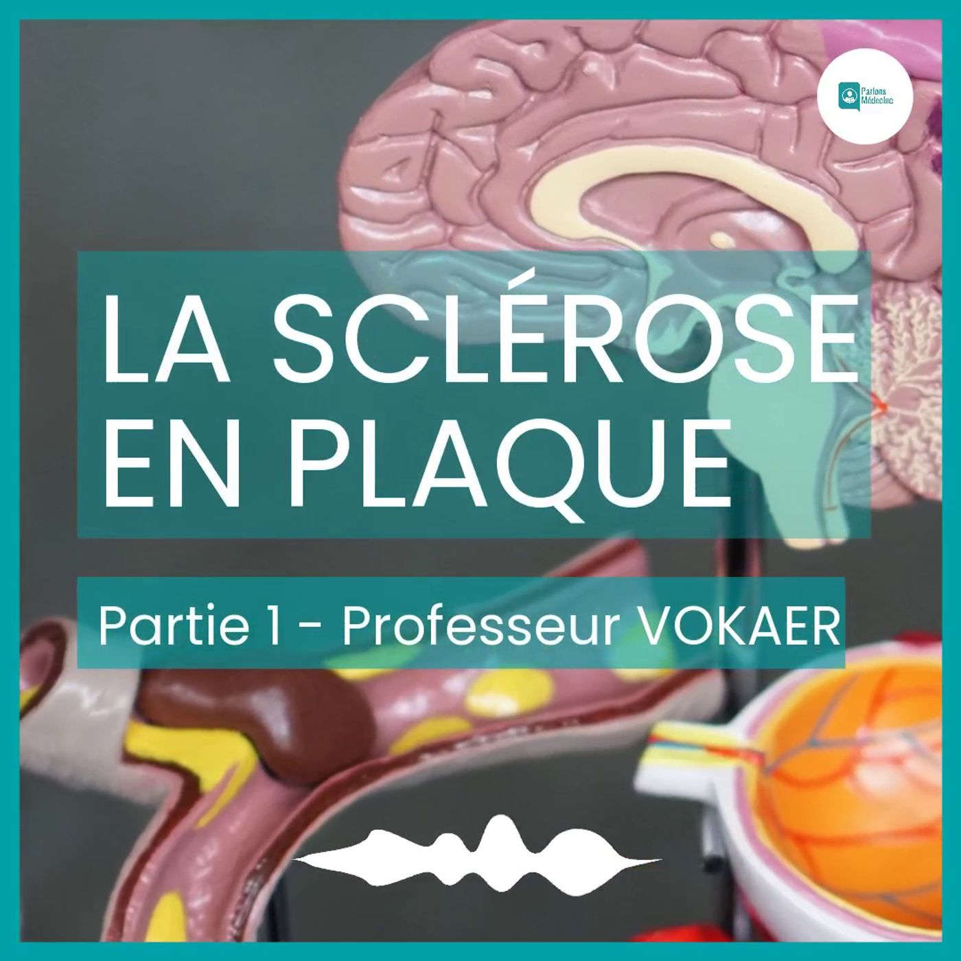 La Sclérose en plaques - Prof. Vokaer - Partie 1