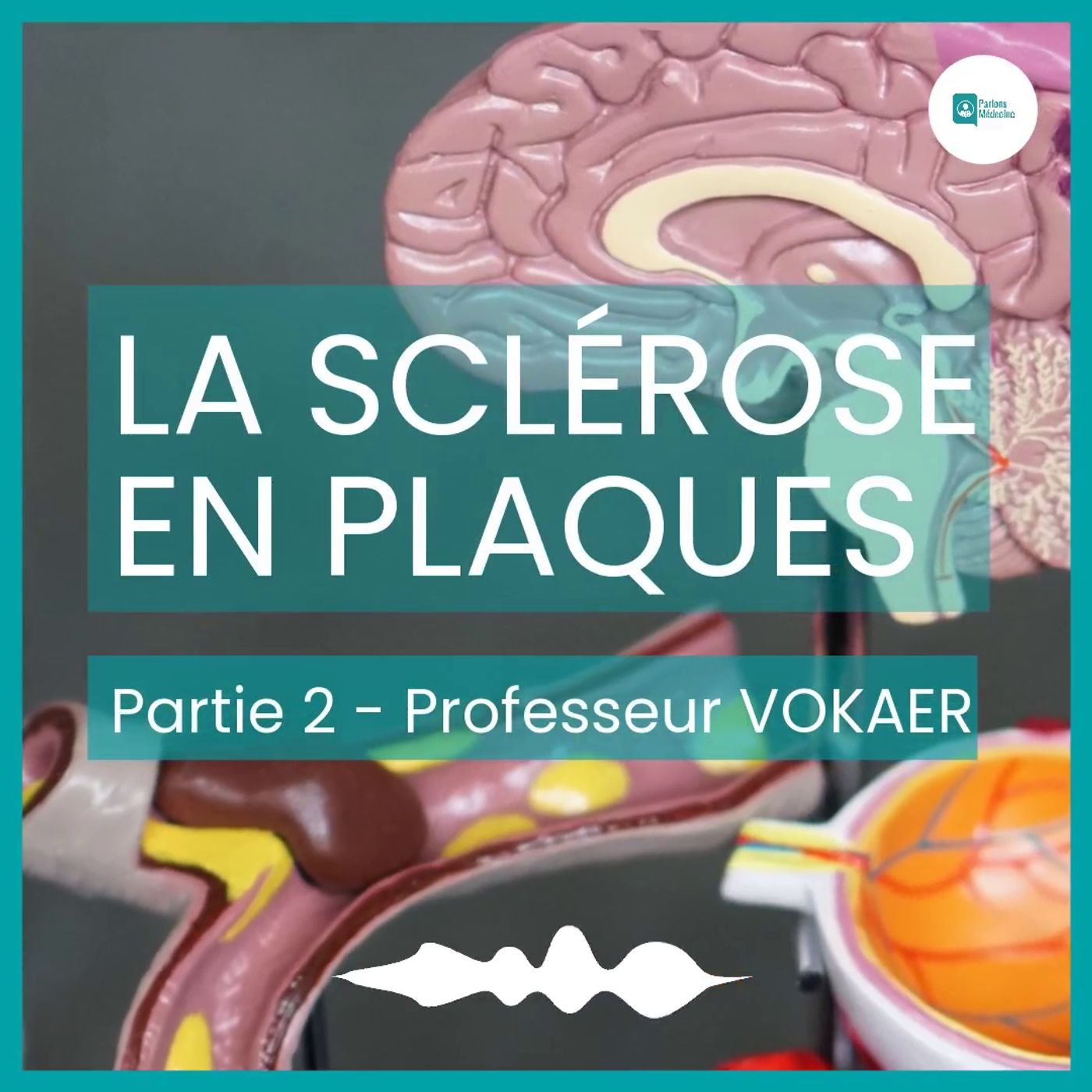 La Sclérose en plaques - Prof. Voaker - Partie 2