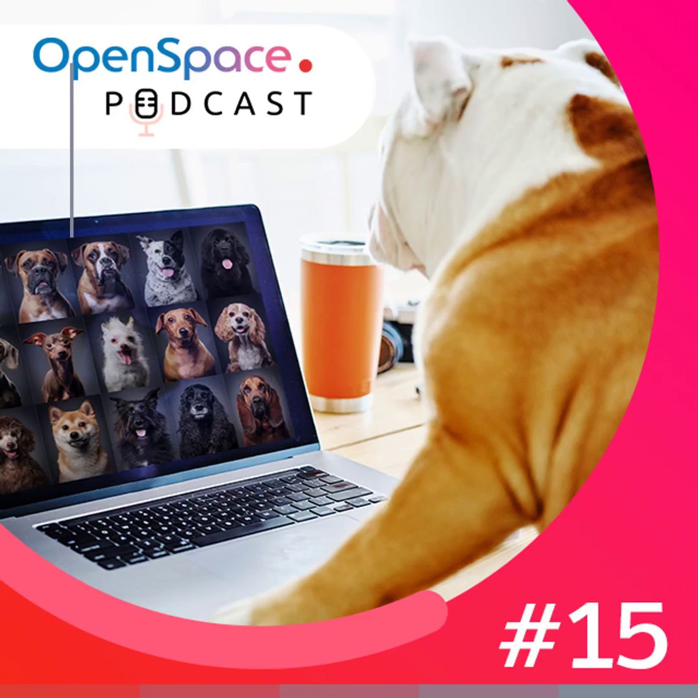 OpenSpace Podcast