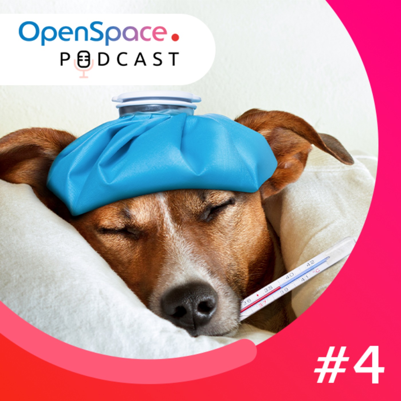 OpenSpace Podcast