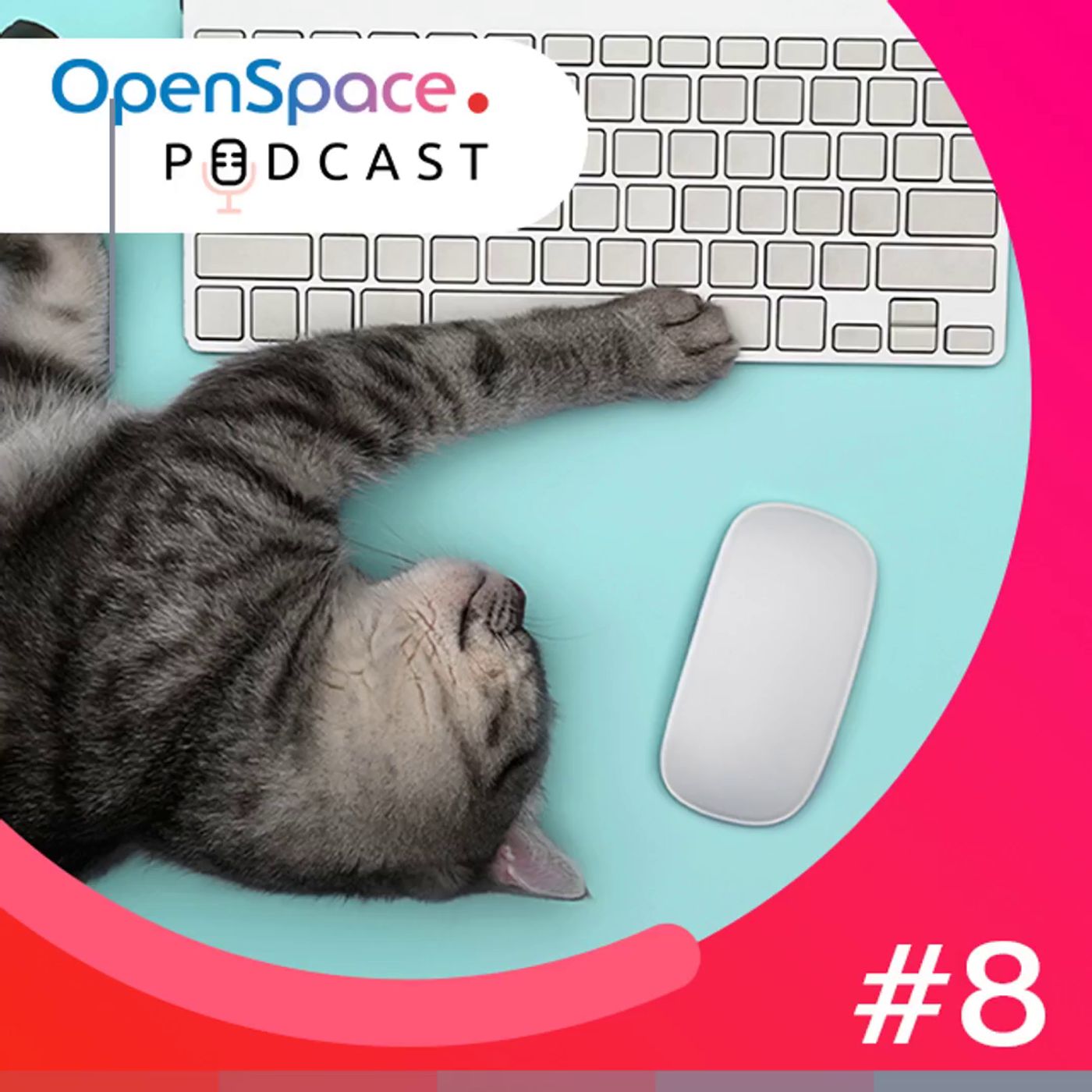OpenSpace Podcast